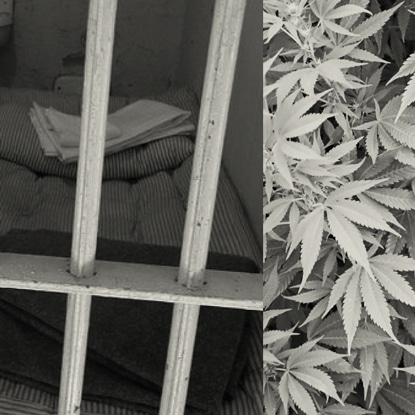 Attorney Generals Speak Out On Pot Prohibition